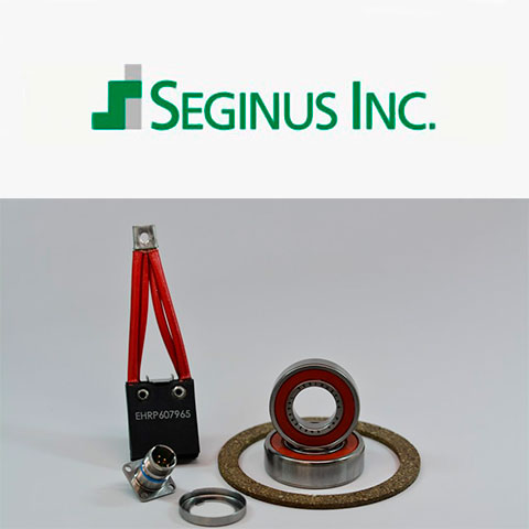 Seginus Logo